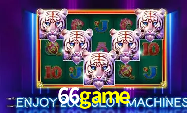 APP oficial da 66game para mobile